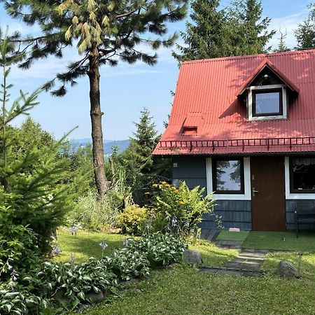 Chata Pietraszyna Koniaków Dış mekan fotoğraf