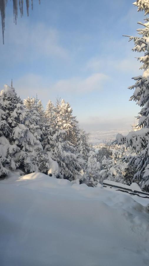 Chata Pietraszyna Koniaków Dış mekan fotoğraf