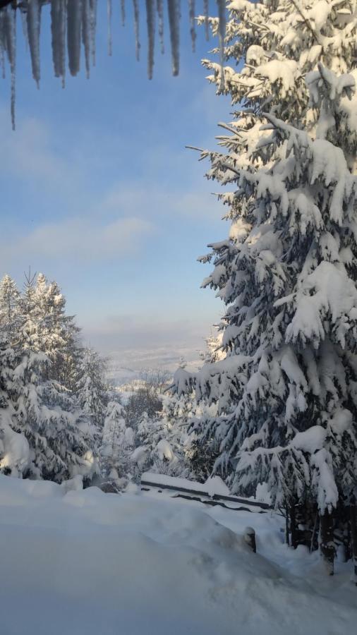 Chata Pietraszyna Koniaków Dış mekan fotoğraf