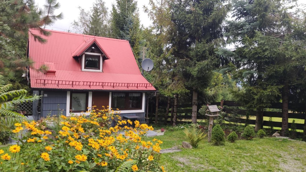 Chata Pietraszyna Koniaków Dış mekan fotoğraf