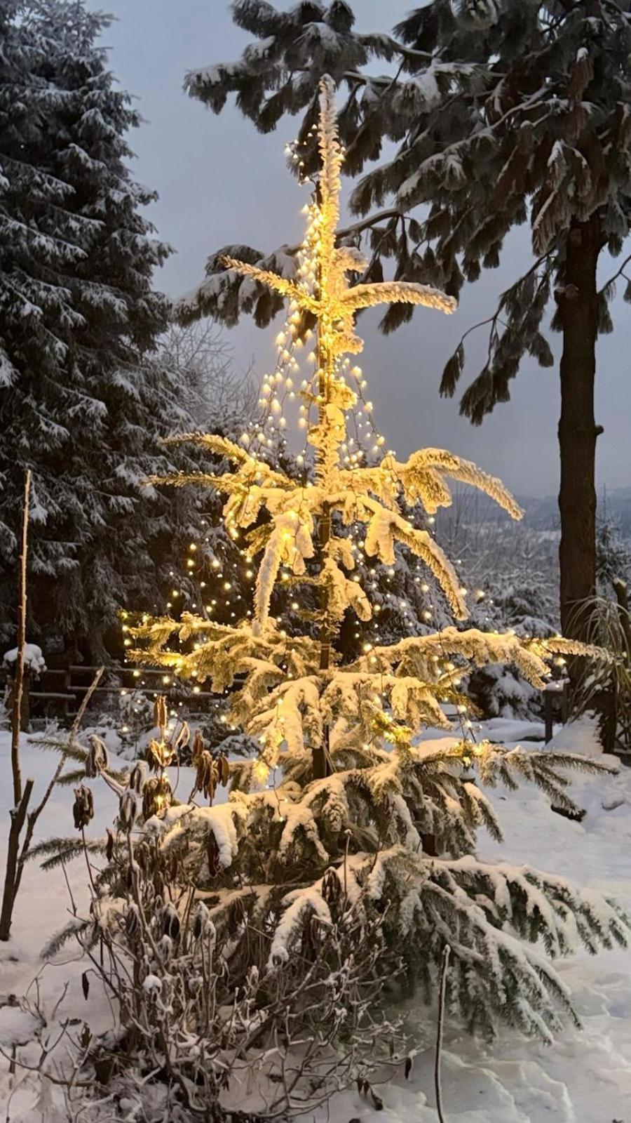 Chata Pietraszyna Koniaków Dış mekan fotoğraf